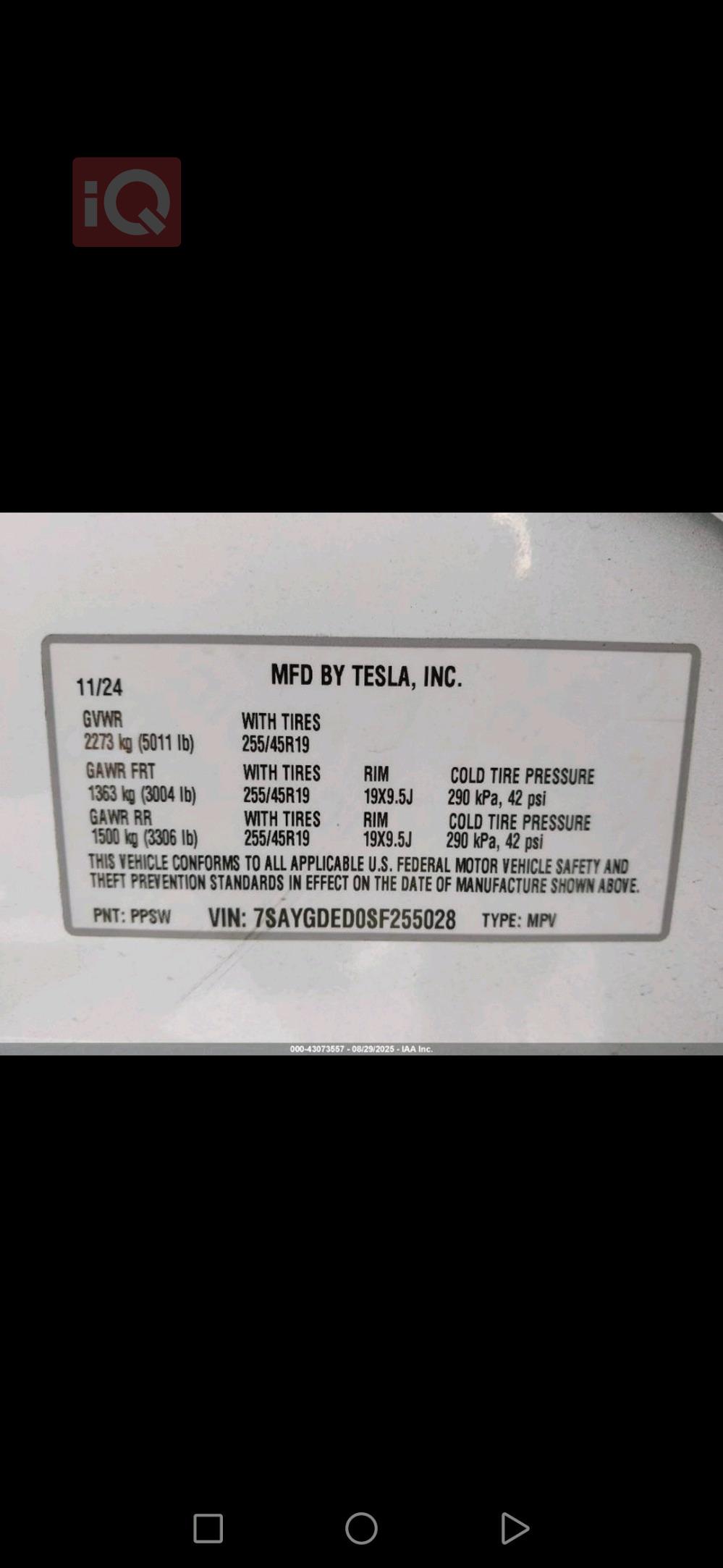 تسلا موديل Y